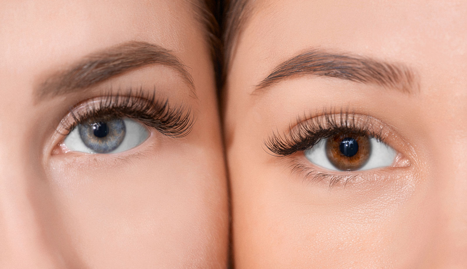 Powderbrows: weich schattierte Augenbrauen bei zwei Frauen